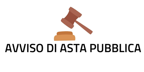 Bando dasta pubblica per la vendita di un braccio decespugliatore idraulico (trinciatrice) bruni di 6 metri di proprietà comunale